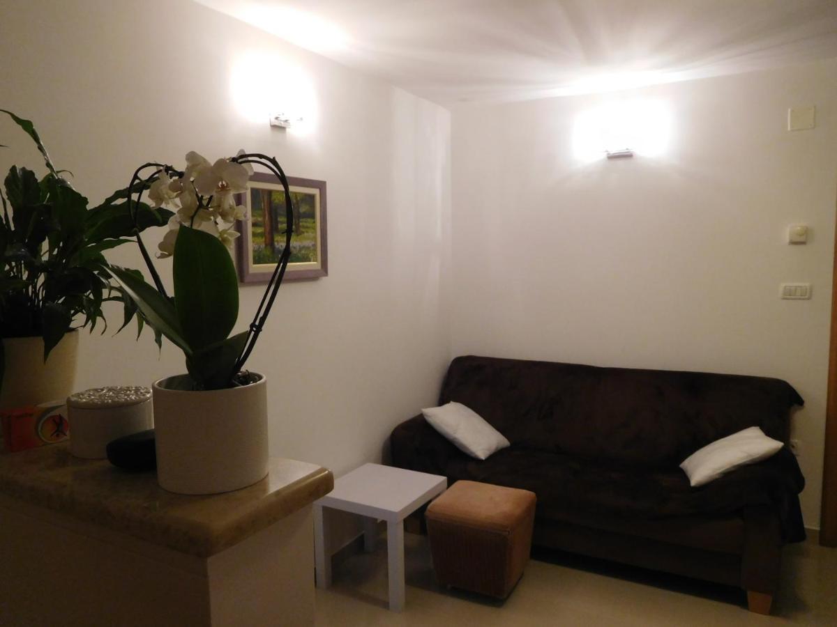 Alida Apartments & Room Near The Sea Rovinj Exterior photo
